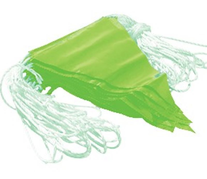Green Bunting Flag Line